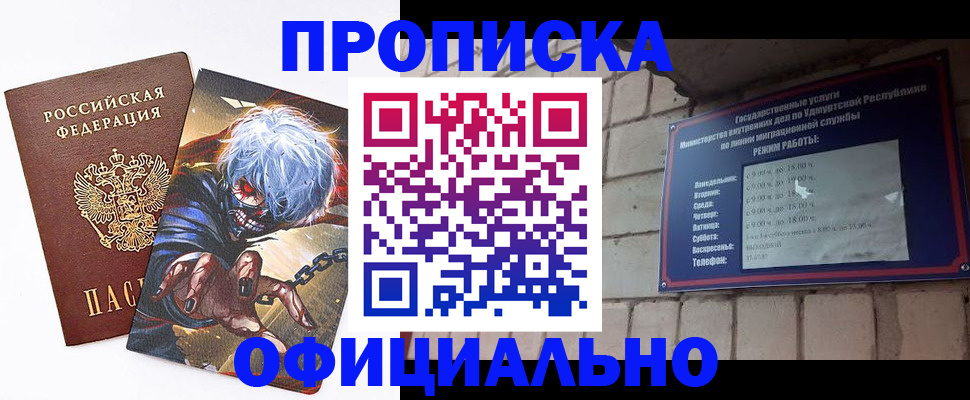 прописка для школы в Фрязино